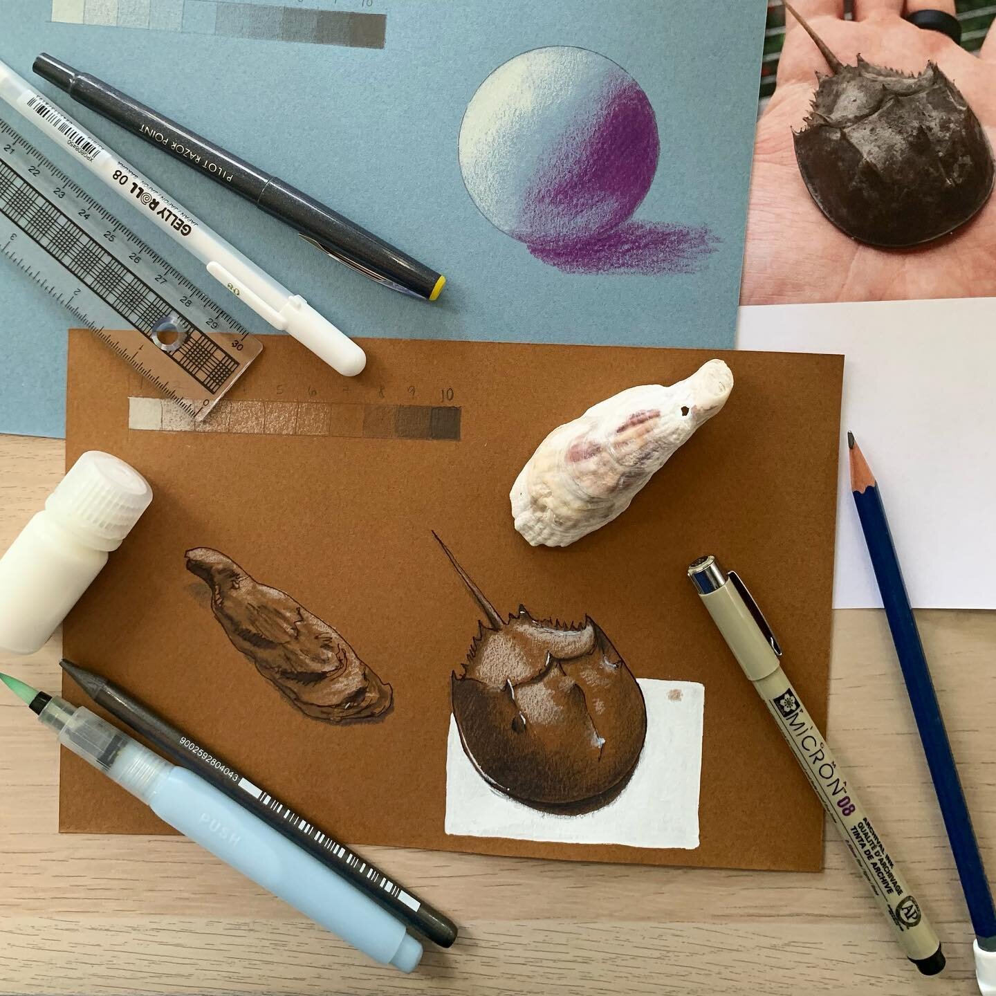 The #WildWonderConference this year has been so wonderful, so incredibly rich and inspiring. I was so nervous for my &ldquo;Drawing on Toned Paper for Beginners&rdquo; lesson this morning, especially because it was live on Zoom with over 400 viewers(