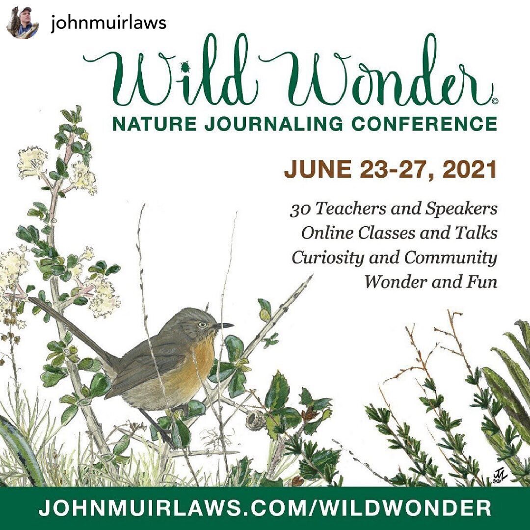 I&rsquo;ll be teaching again at this year&rsquo;s Wild Wonder Nature Journaling Conference (June 23-27th, 2021). The event is an annual conference organized by nature journaler extraordinaire @johnmuirlaws and his team. It is online, due to COVID-19,