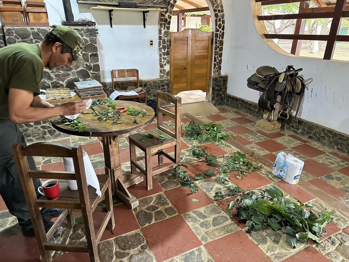 #passifloraexpeditionbolivia

We settled into an awesome lodging in Apolo, a remote (mining) town in the lowlands near Parque Nacional Madidi, then spent the morning preparing herbariums for the plant material collected the previous day. After breakf