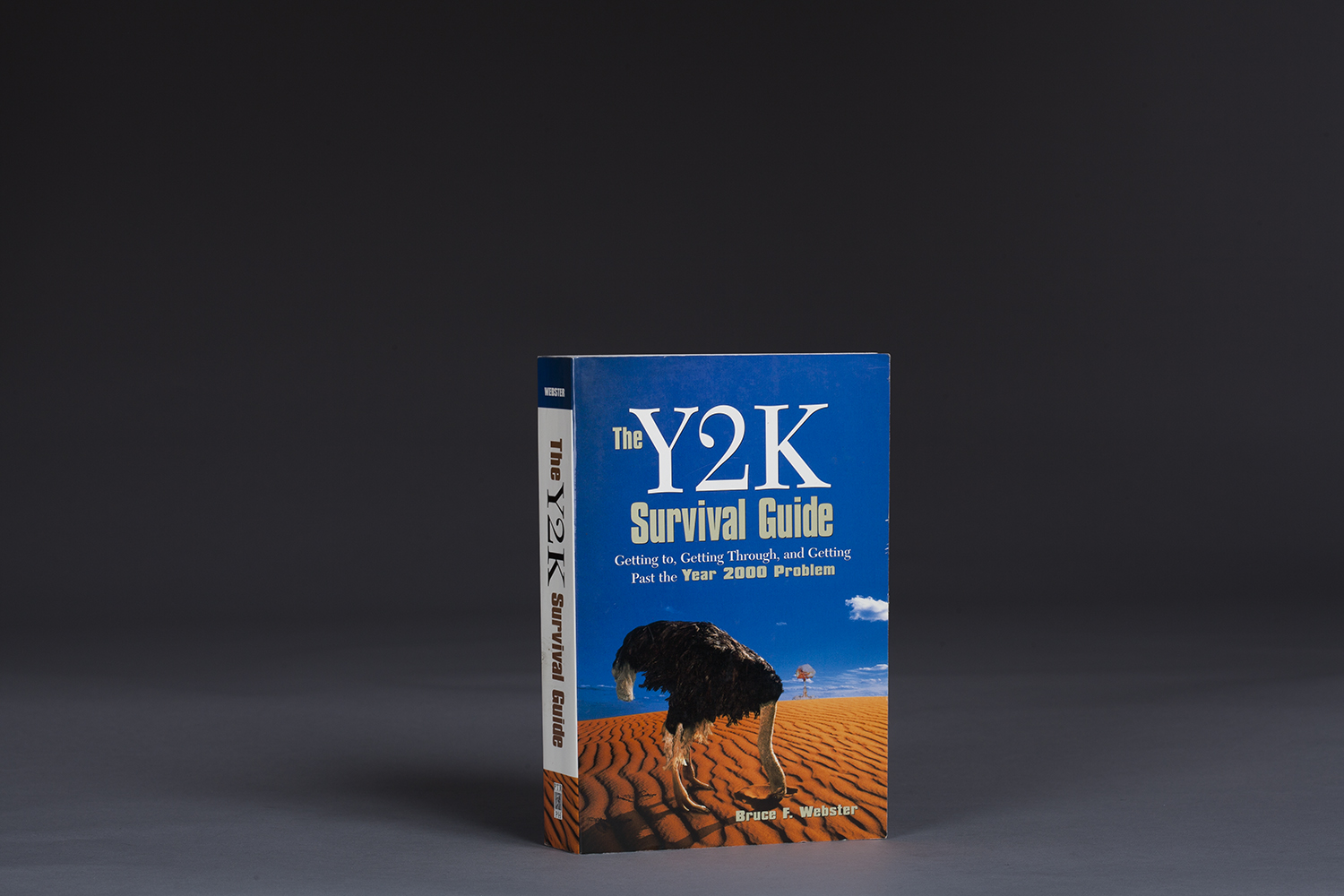 The Y2K Survival Guide - 0166 Cover.jpg