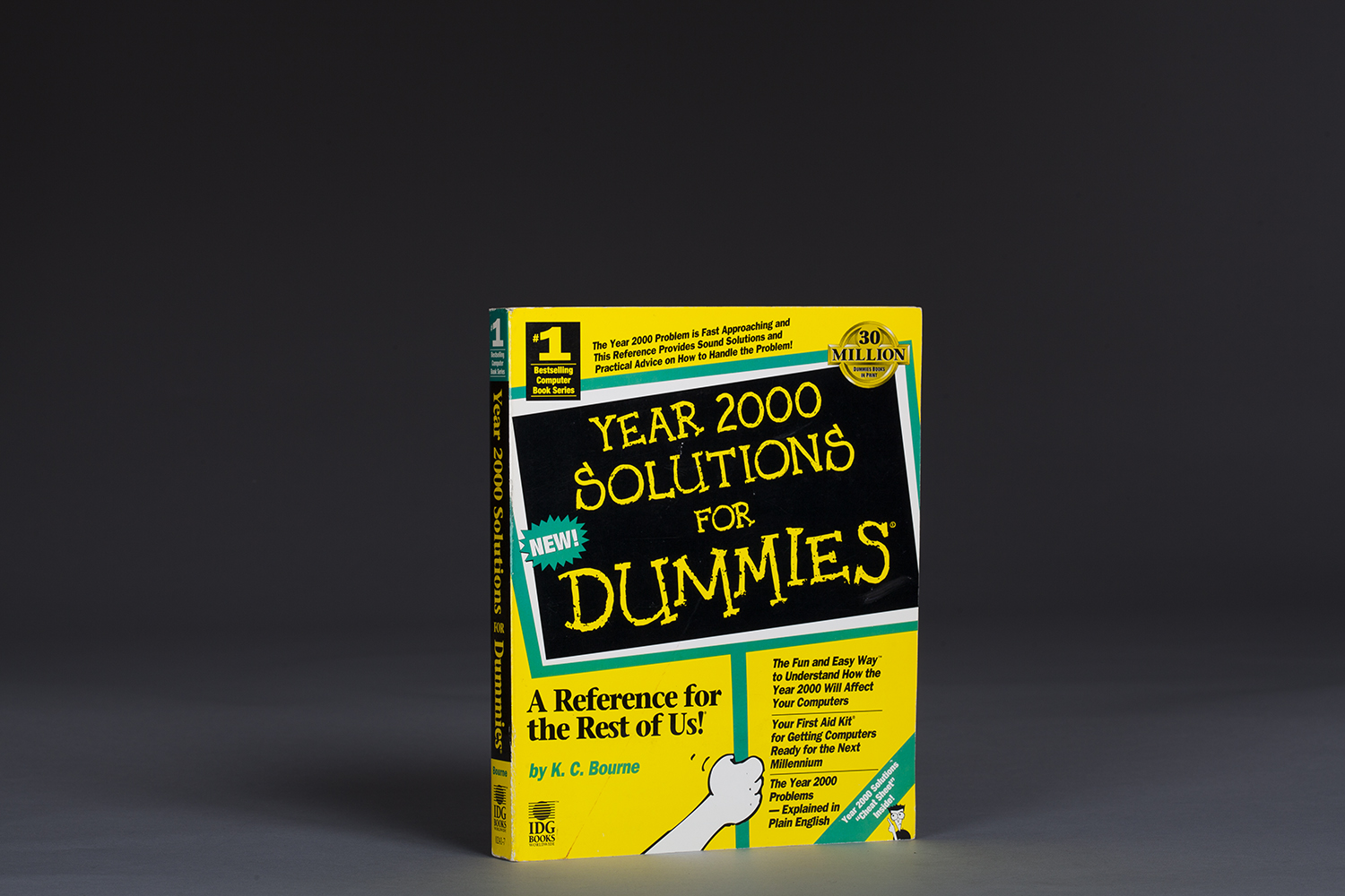 Year 2000 Solutions for Dummies - 0022 Cover.jpg