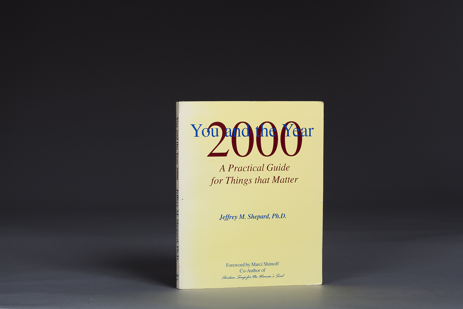 You and the Year 2000 - A Practical Guide - 0633 Cover.jpg