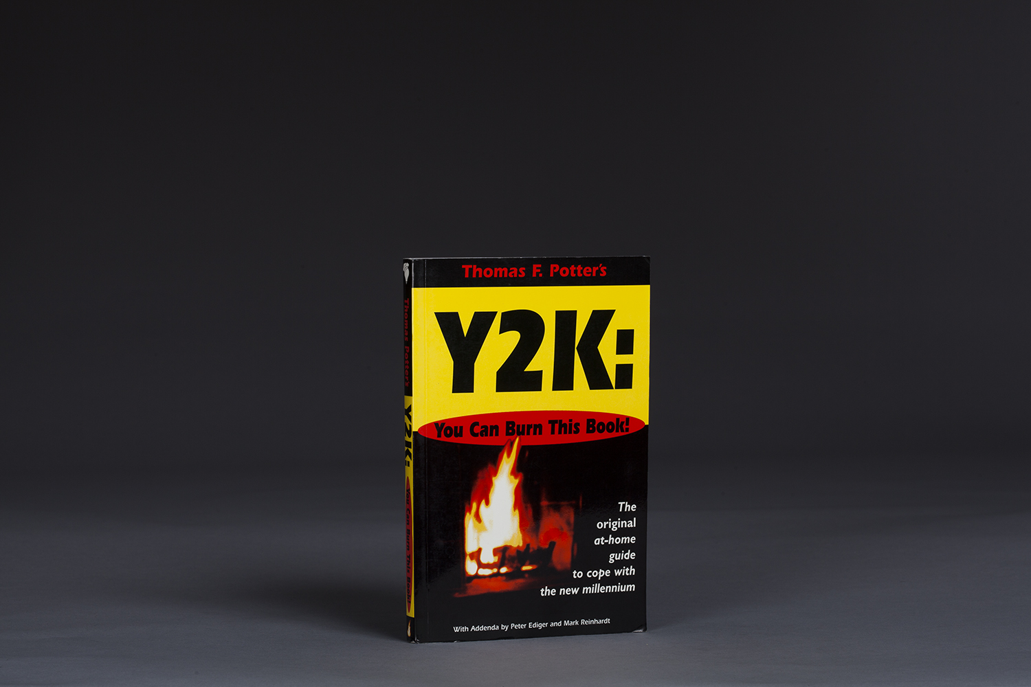 Y2K - You Can Burn This Book! - 0250 Cover.jpg