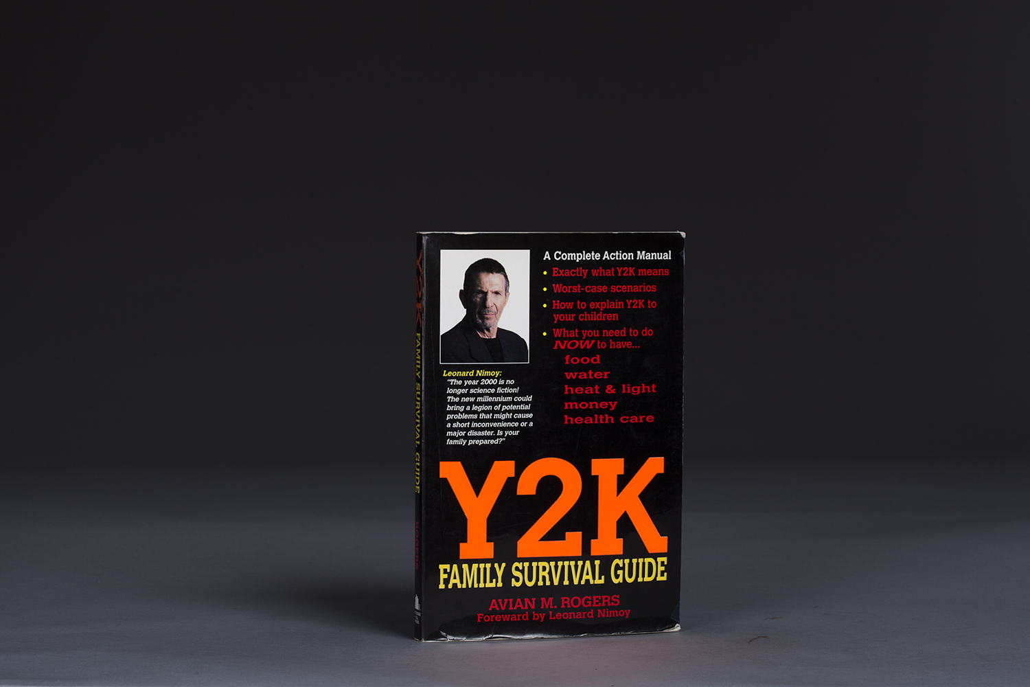 Y2K Family Survival Guide - 0788 Cover.jpg