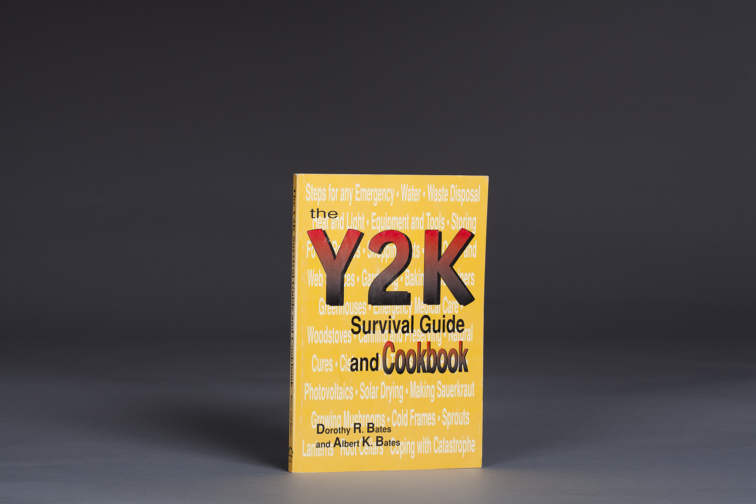 The Y2K Survival Guide and Cookbook - 9709 Cover.jpg