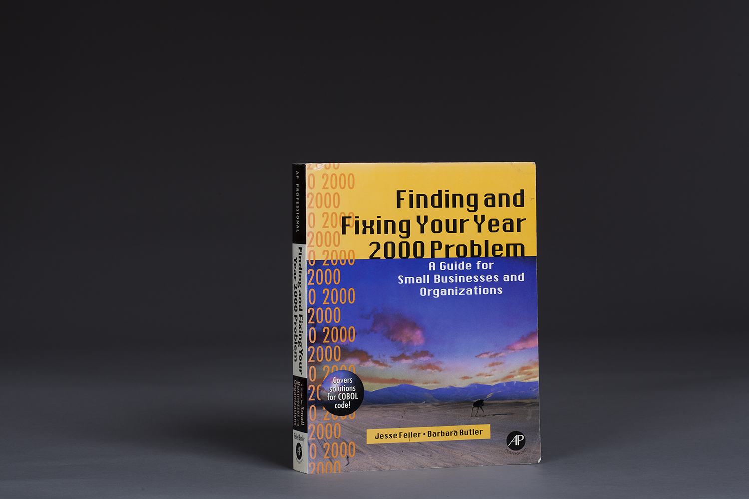 Finding and Fixing Your Year 2000 Problem - 0101 Cover.jpg