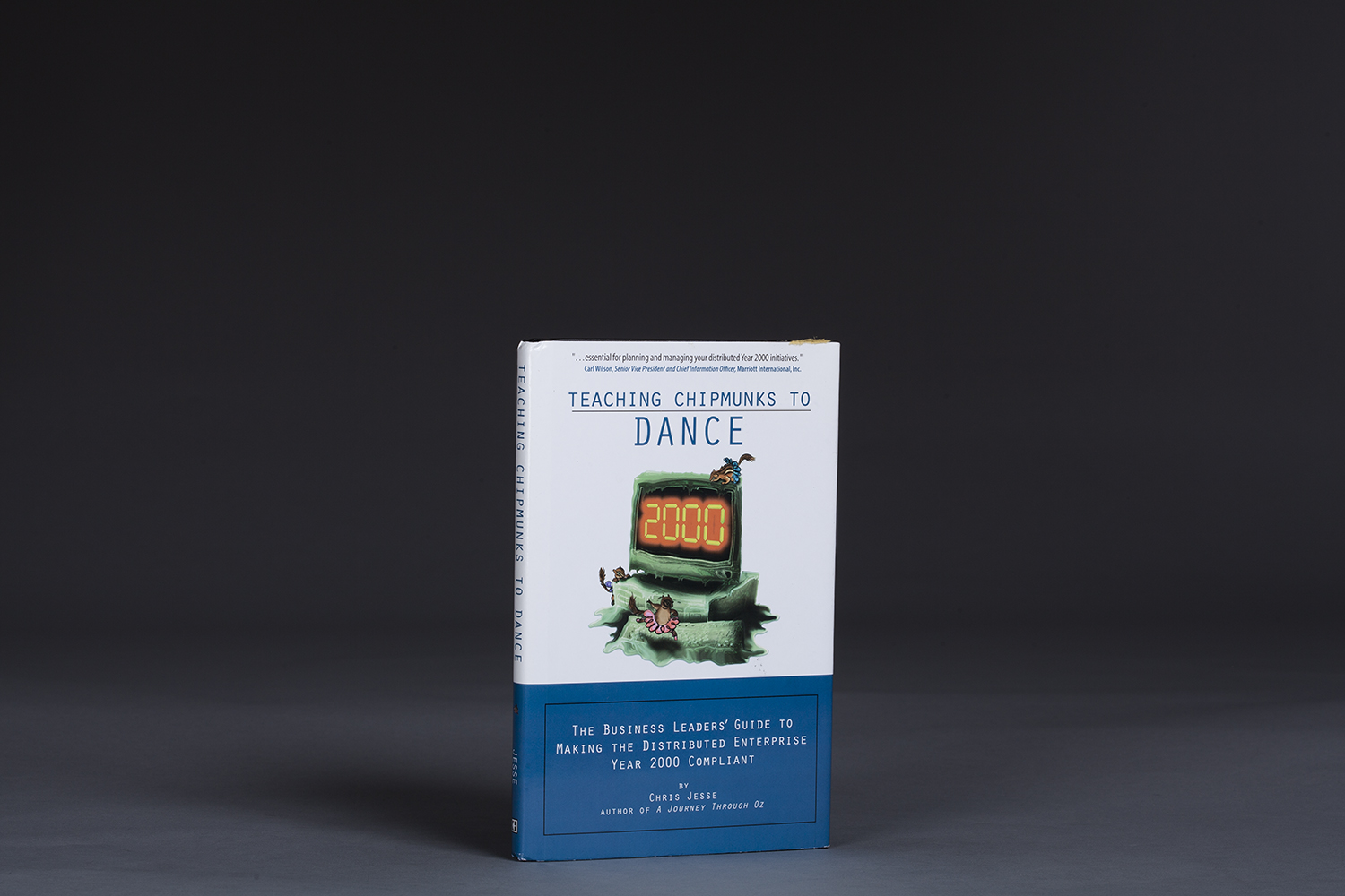 Teaching Chipmunks to Dance - 0491 Cover.jpg