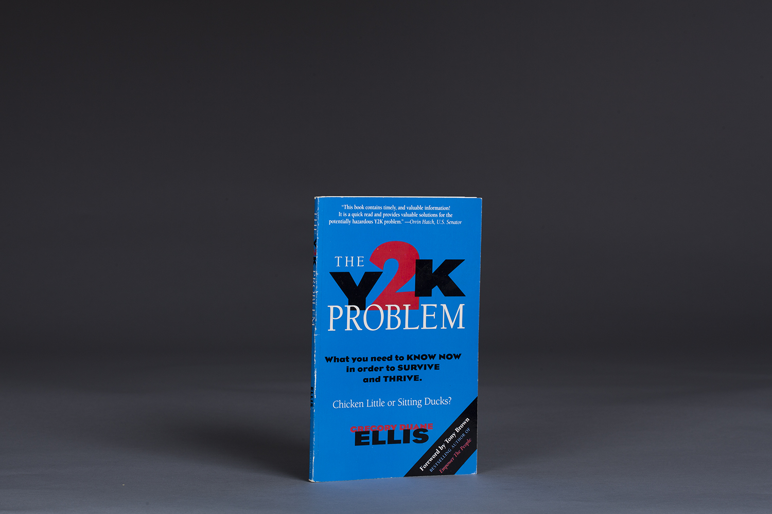 The Y2K Problem - 9843 Cover.jpg