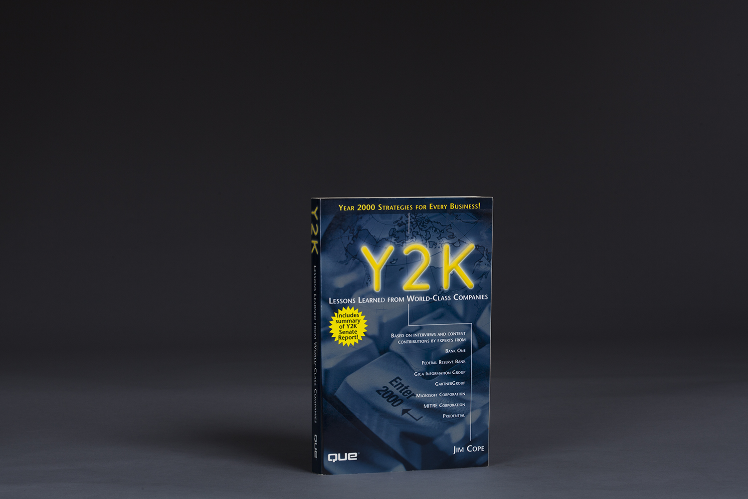 Y2K Lessons Learned from World Class Companies - 0529 Cover.jpg