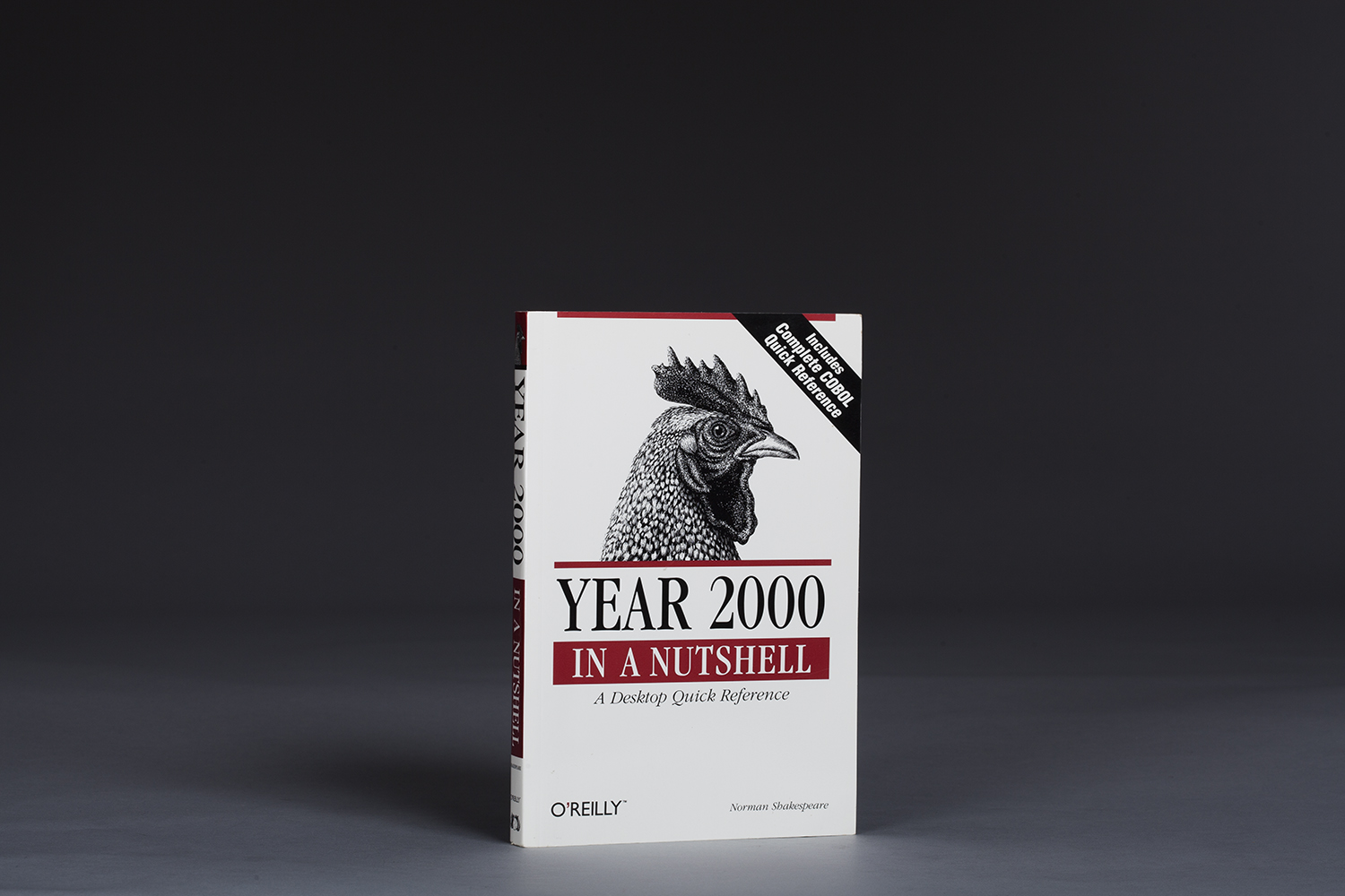 Year 2000 In a Nutshell - A Desktop Quick Reference - 0394 Cover.jpg