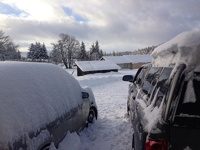 Another 16" and more on the way. #buriedalive