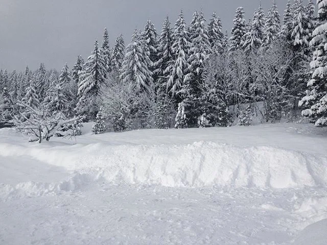 But wait! There's more! Over a meter and still falling. Fifth snow day of the year. #thegorge #columbiarivergorge #pnwonderland #pdx