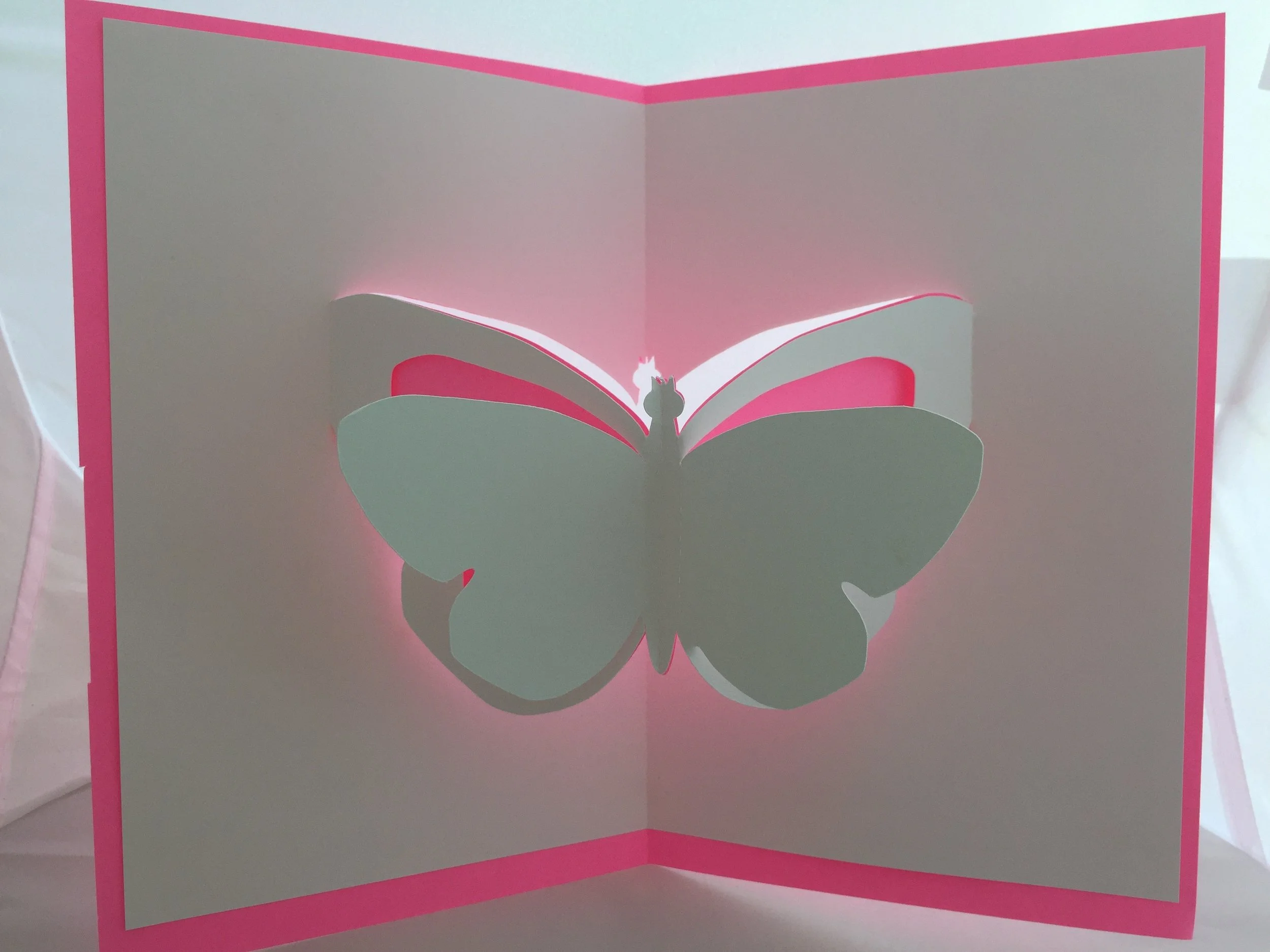 Butterfly Pop-Up