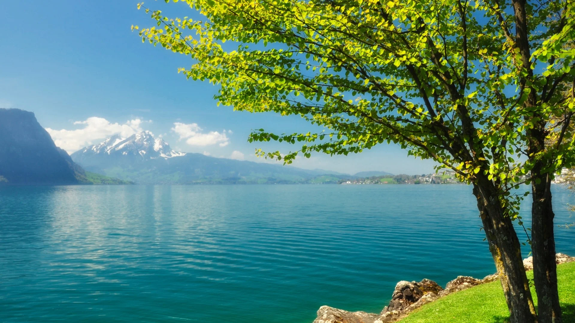 river_tree_mountains-1920x1080-2.jpg