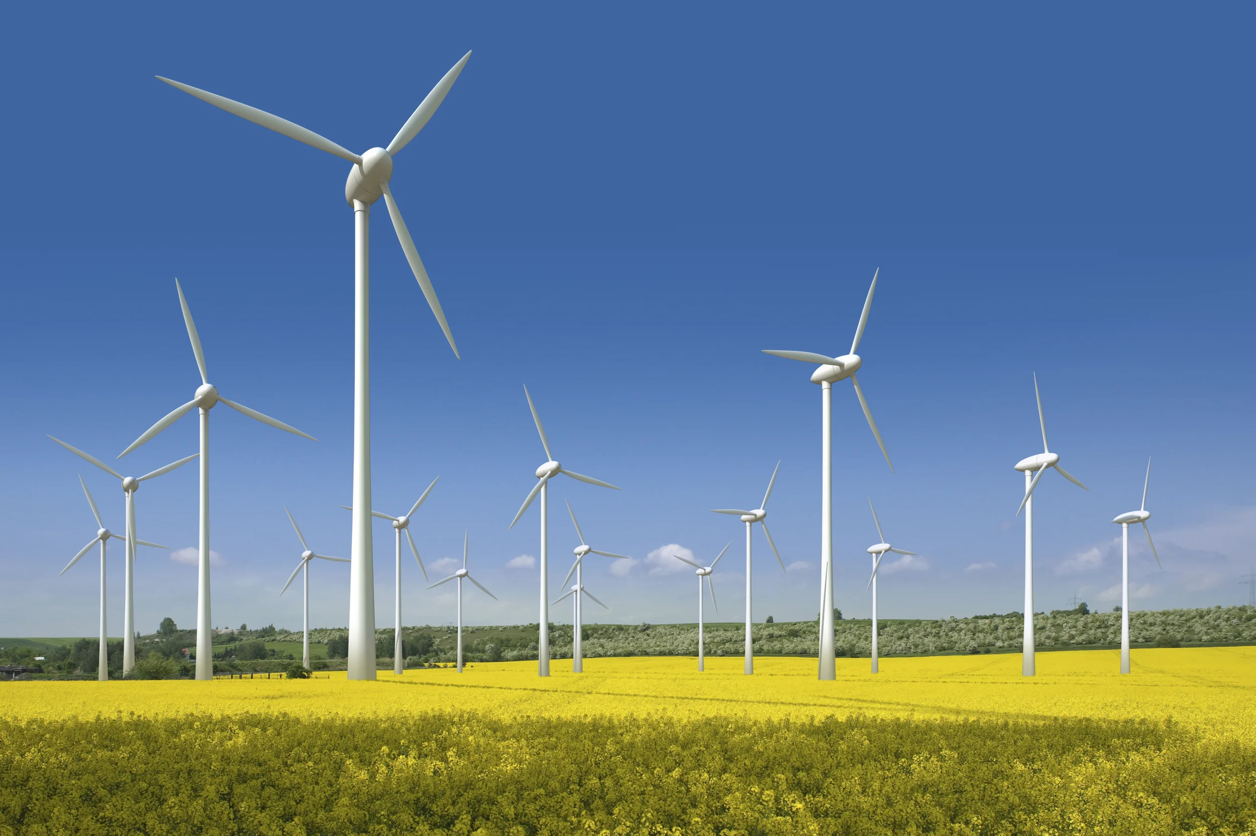 honda-windfarm.jpg