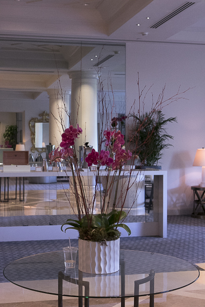 Palm Beach029.jpg