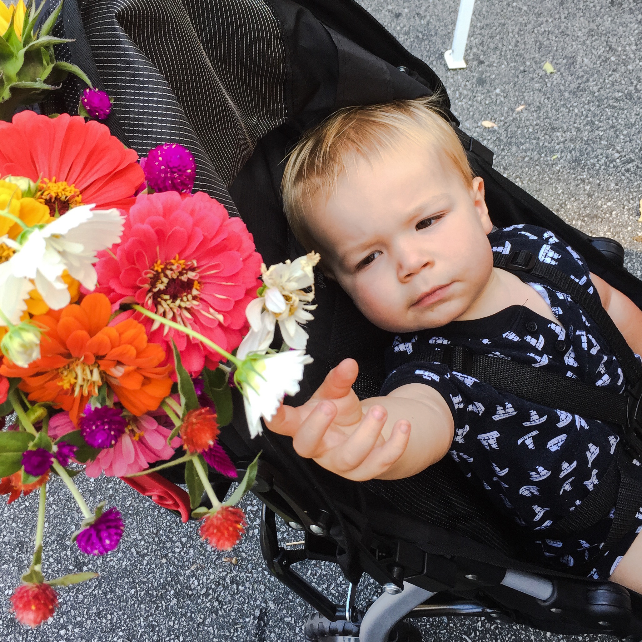 Flowers from - McMullan Family Farm