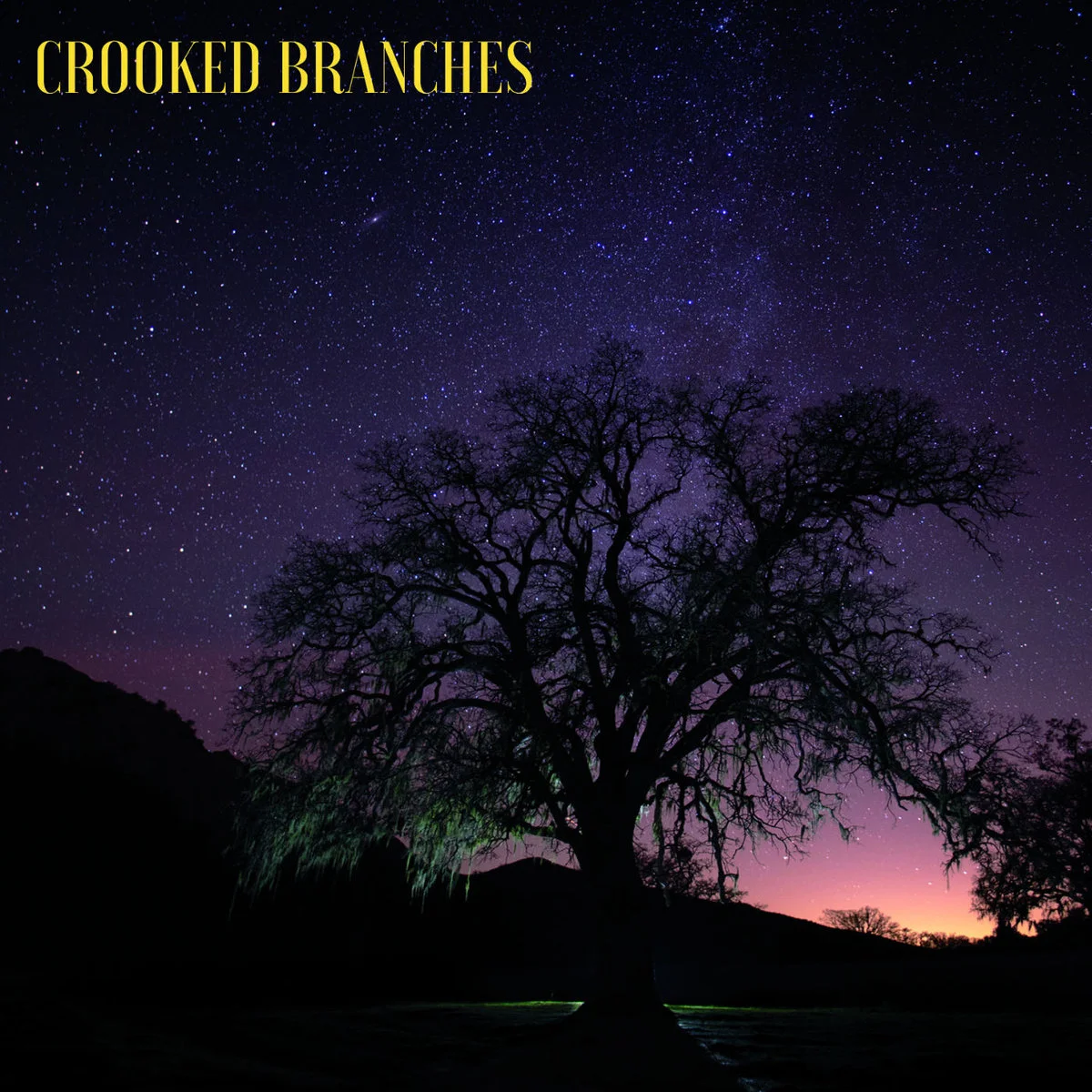 Crooked Branches Album