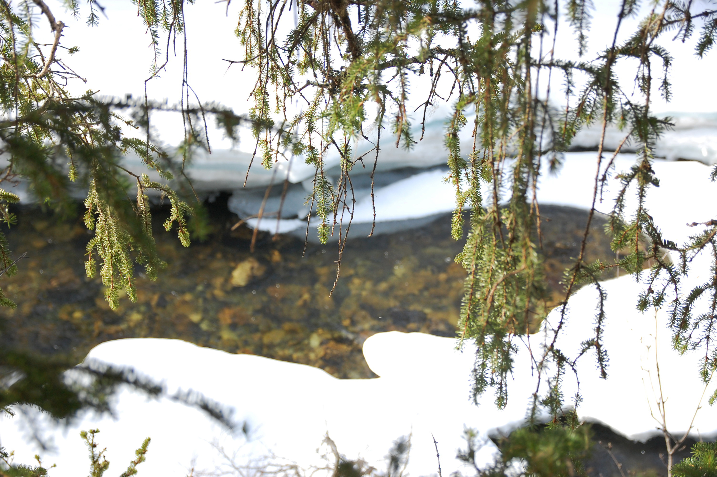 DSC_0402.jpg