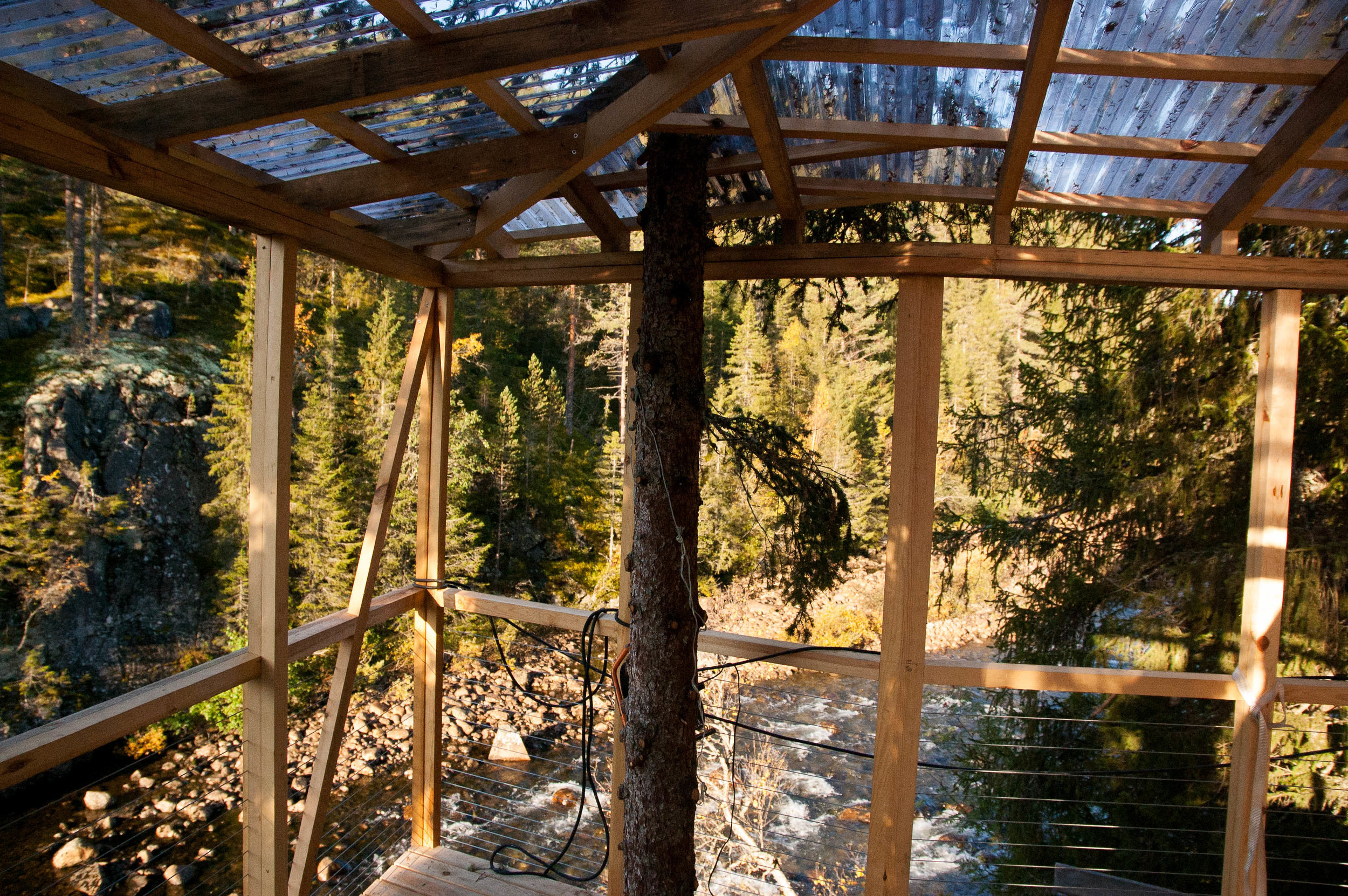 Treehouse 10.09 (6 of 12).jpg
