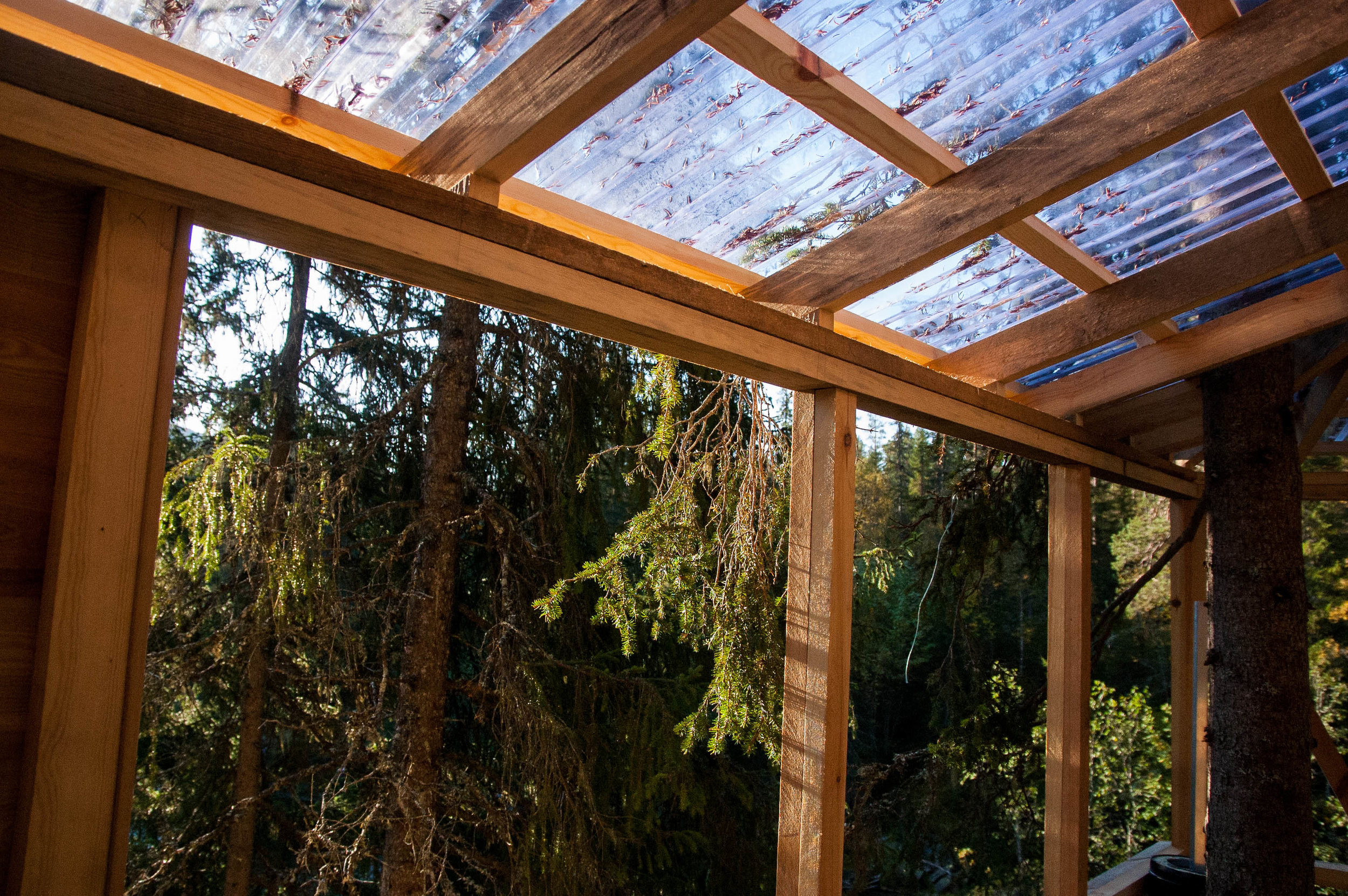 Treehouse 10.09 (7 of 12).jpg