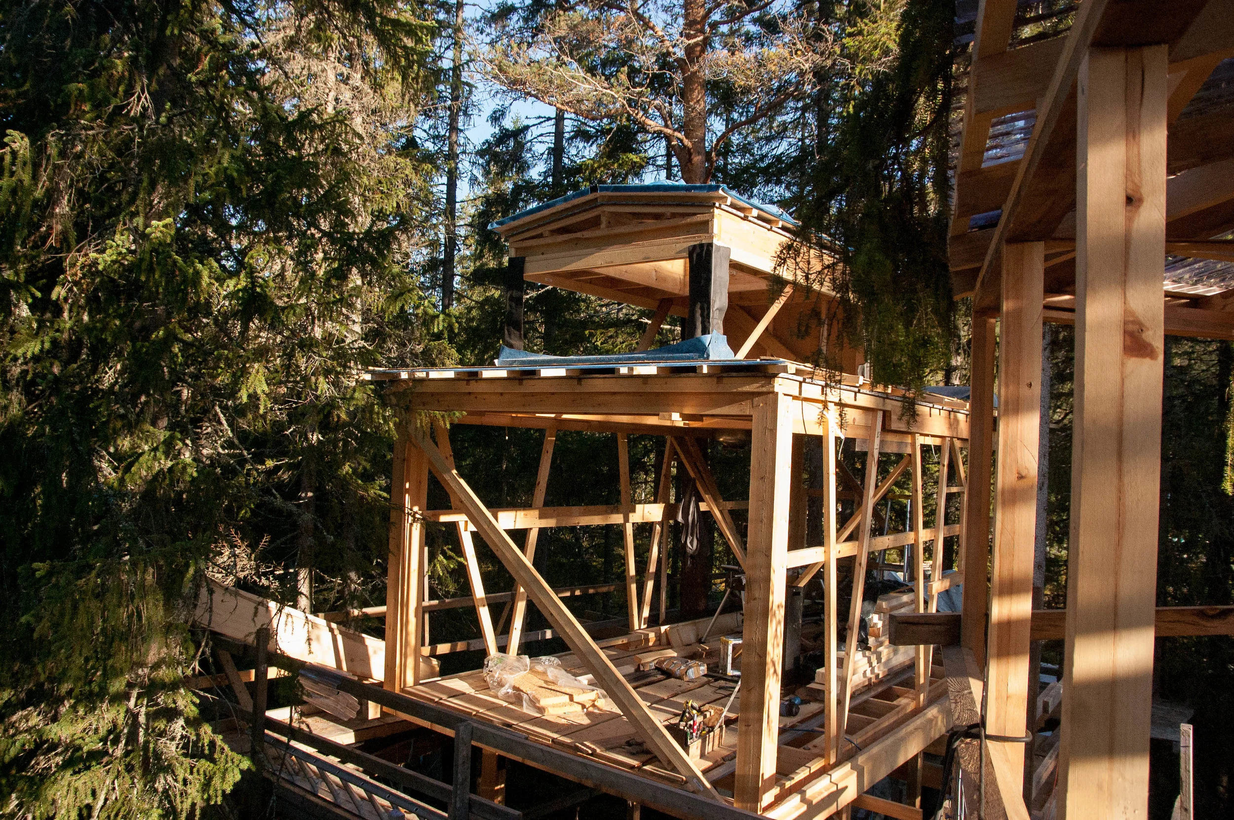 Treehouse — Å Camp