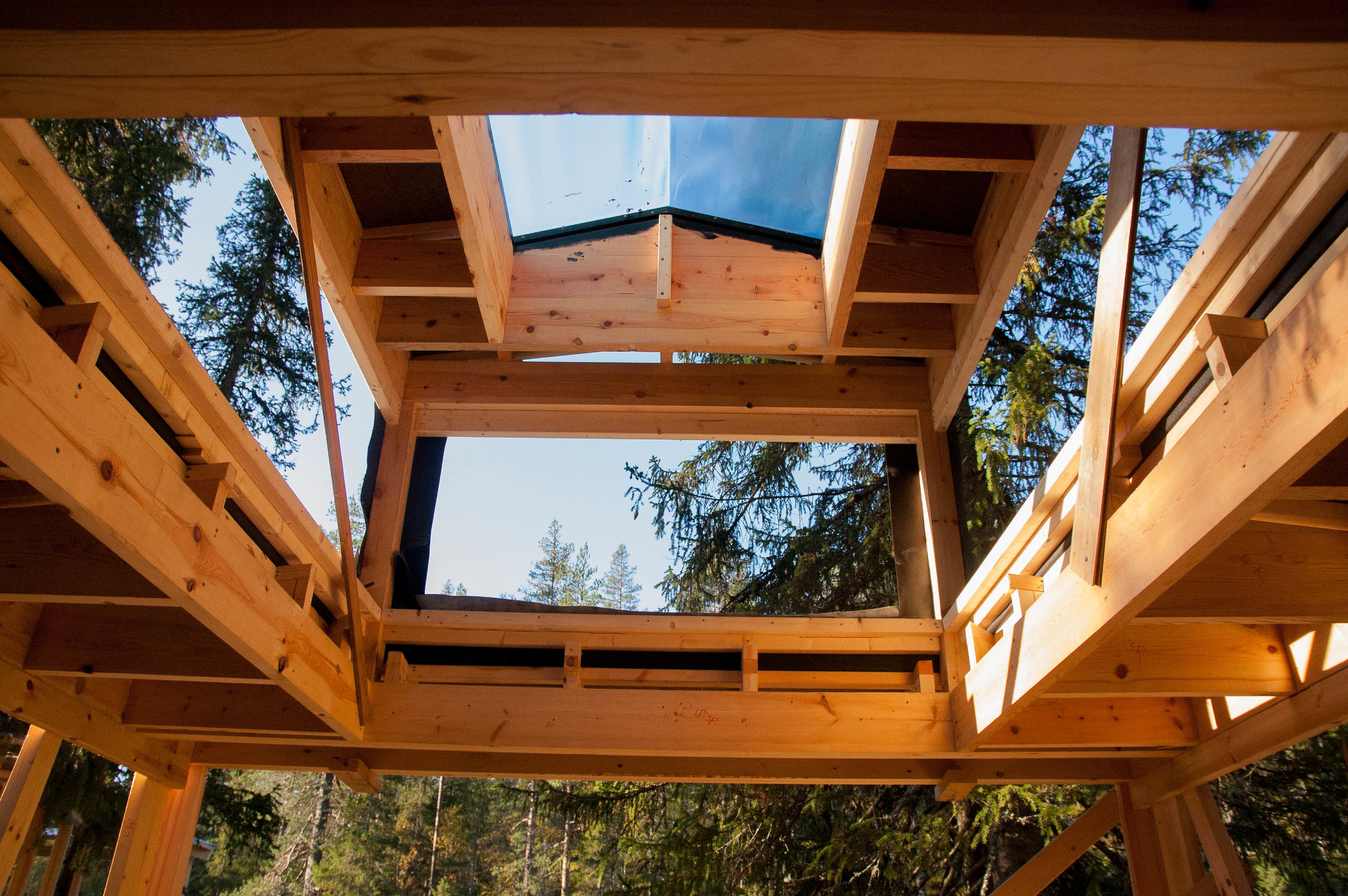 Treehouse 10.09 (12 of 12).jpg