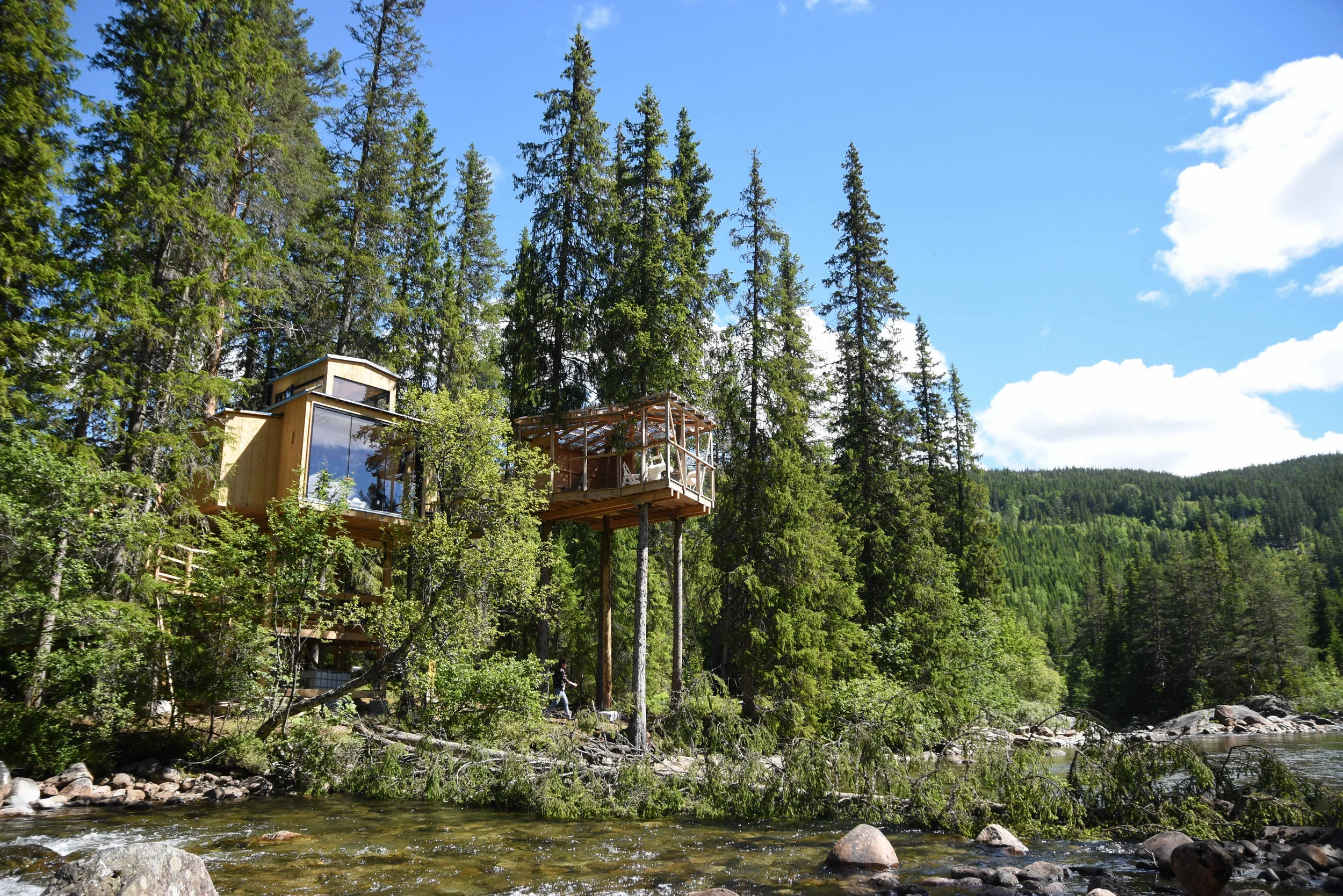 treehouse 03.07-7.jpg