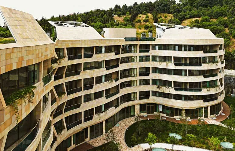 05.jpg