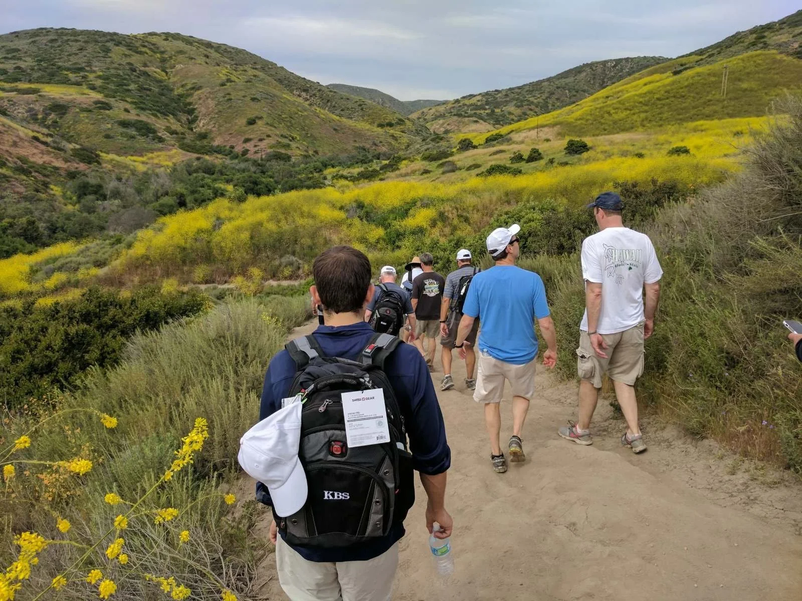 Group hiking a canyon trail lined with yellow wildflowers