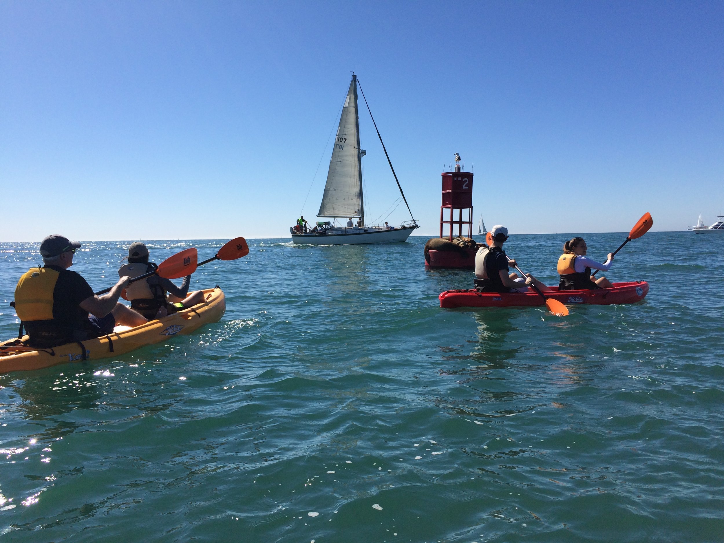 Team kayaking past a sailboat and harbor buoy in Dana Point Harbor