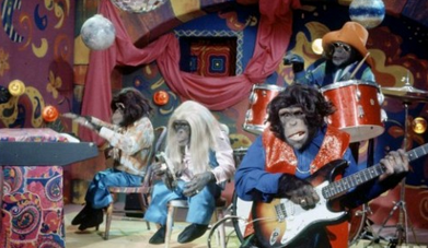 We're looking for the next EVOLUTION REVOLUTION!!!