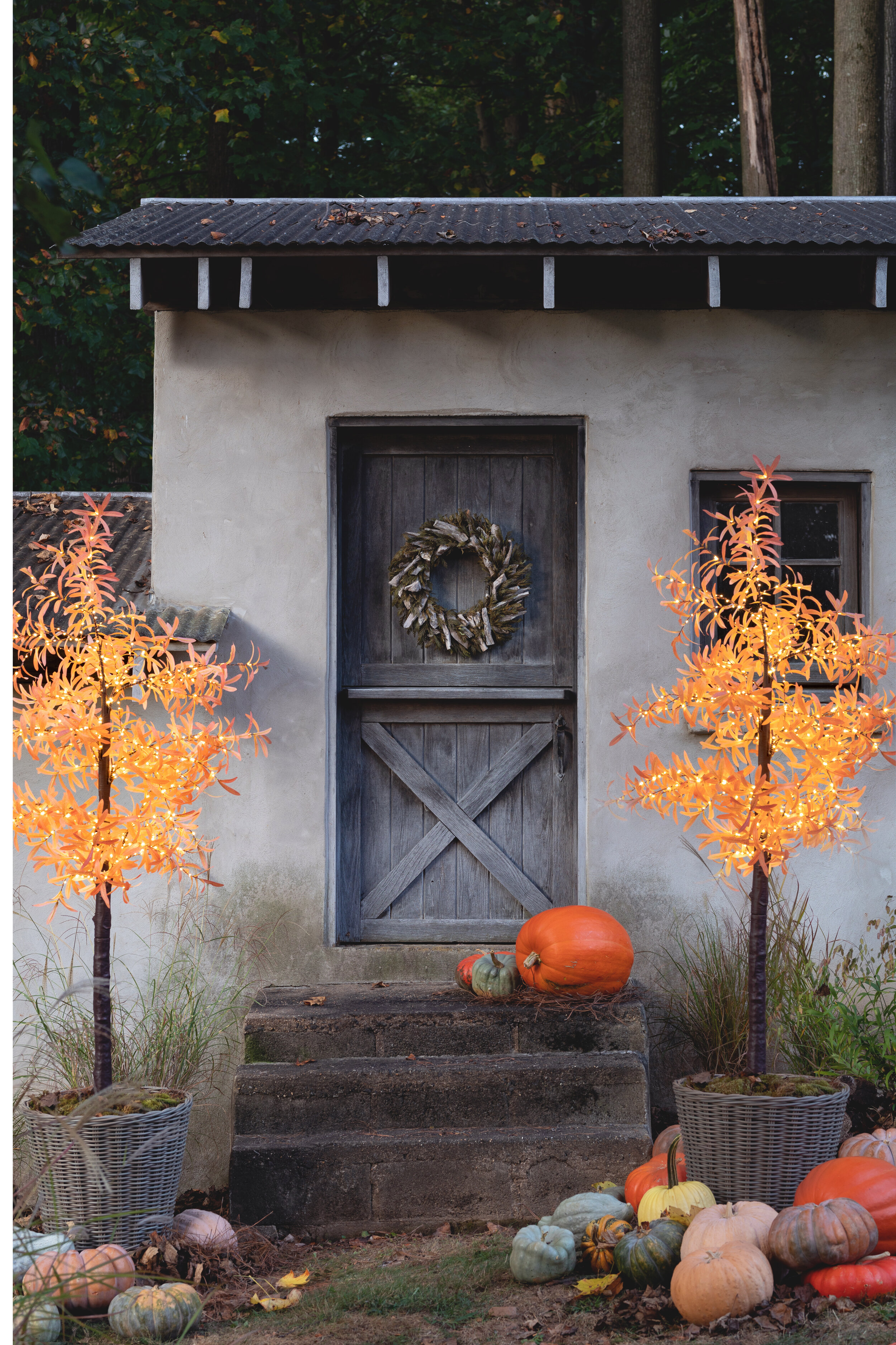  Doorstep styled for Terrain publications 2019 