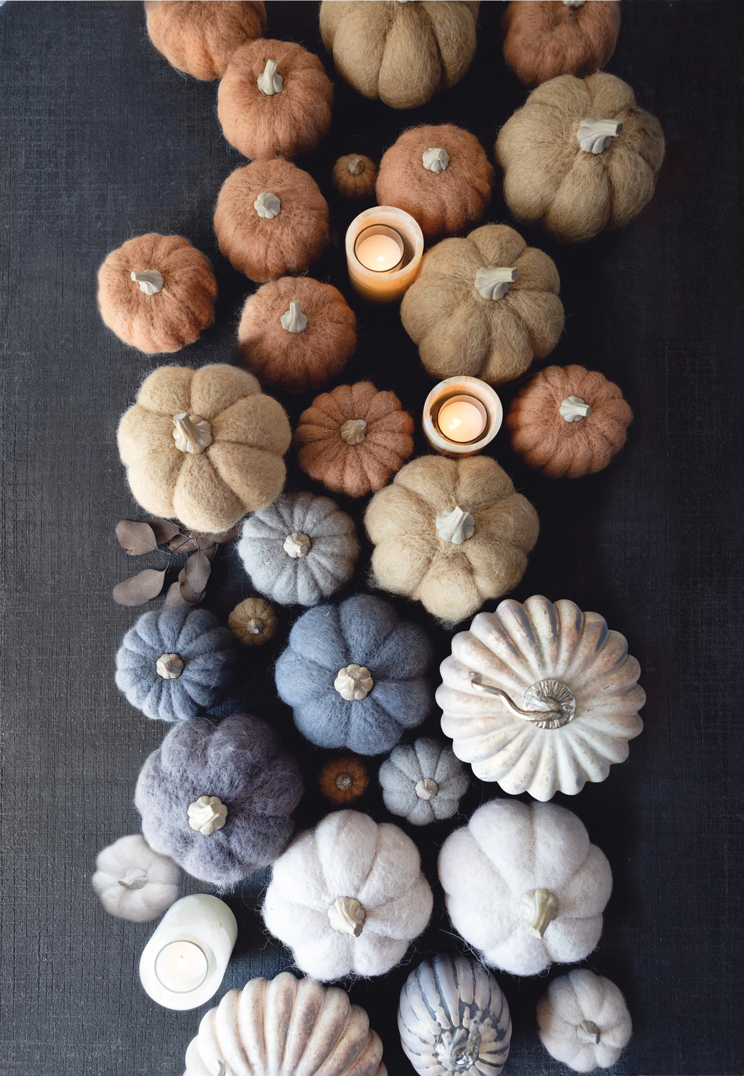  Still created for Terrain publications 2019 