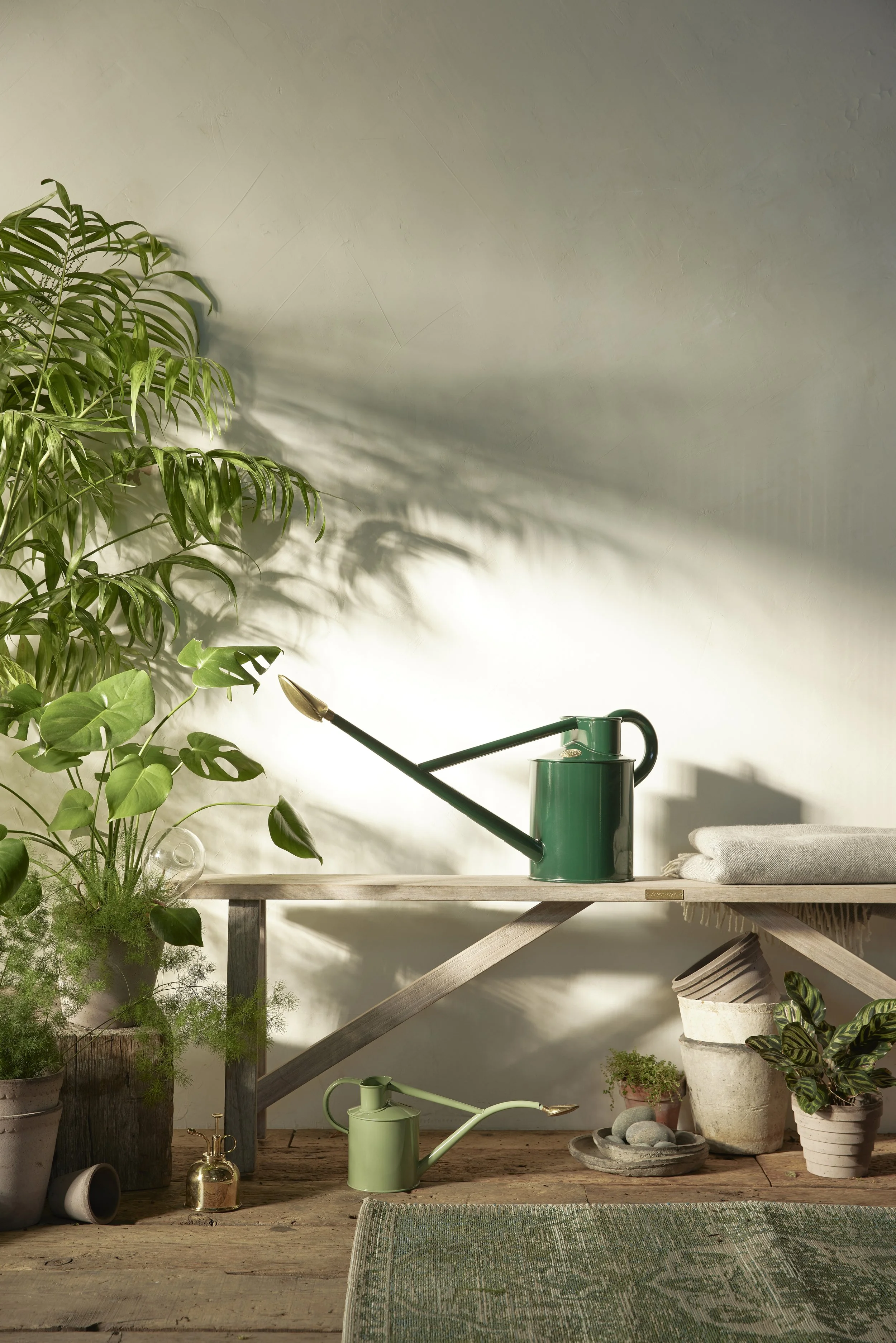 011922_FebCreative_Shot6_0780.jpg