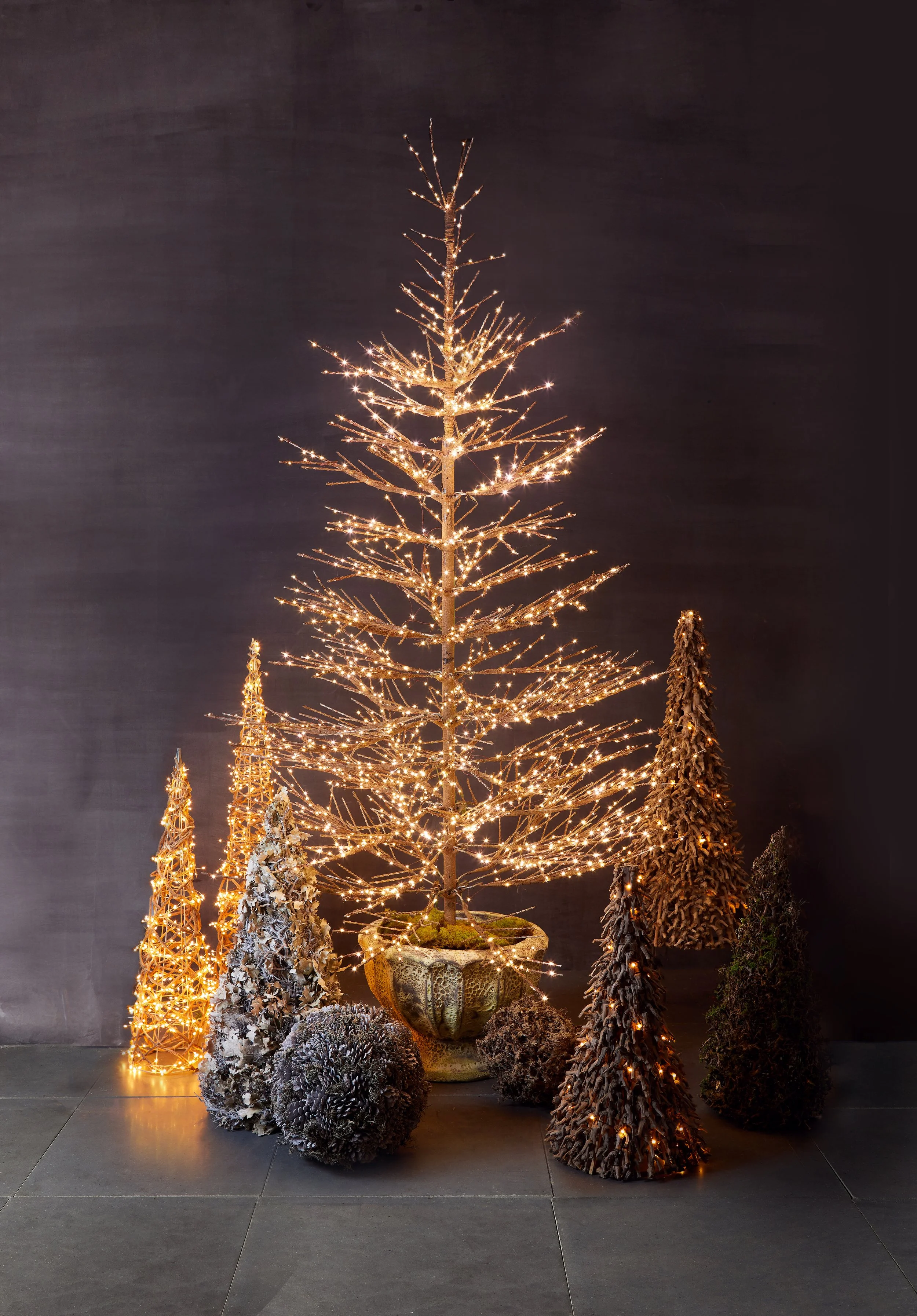 EmptyName 21_tree_cones_edit_lht.jpg