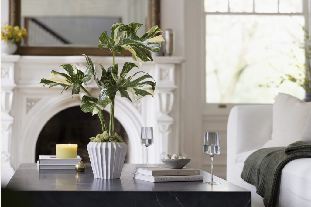 Screenshot 2026-01-06 at 12.28.18 PM.png