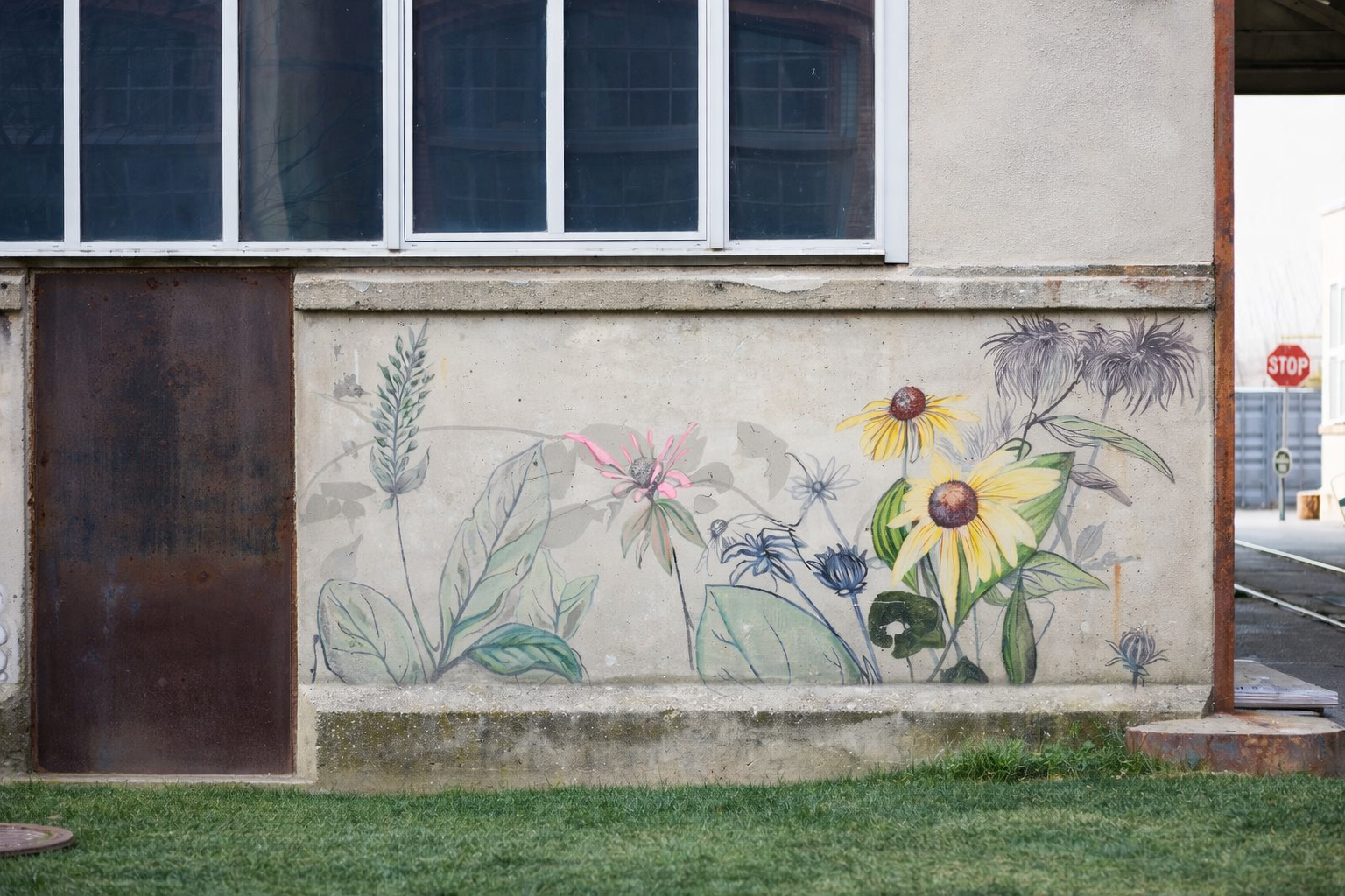 black eyed susan AI.png