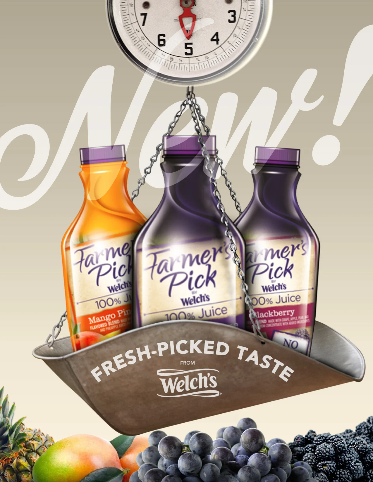 Welchs_FarmersPick_v2sketches_031413c.jpg