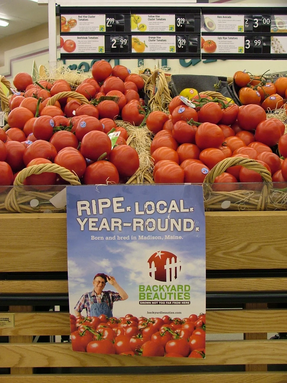 Backyard Hannaford Damariscota, Me w-o 2-4-07.jpg