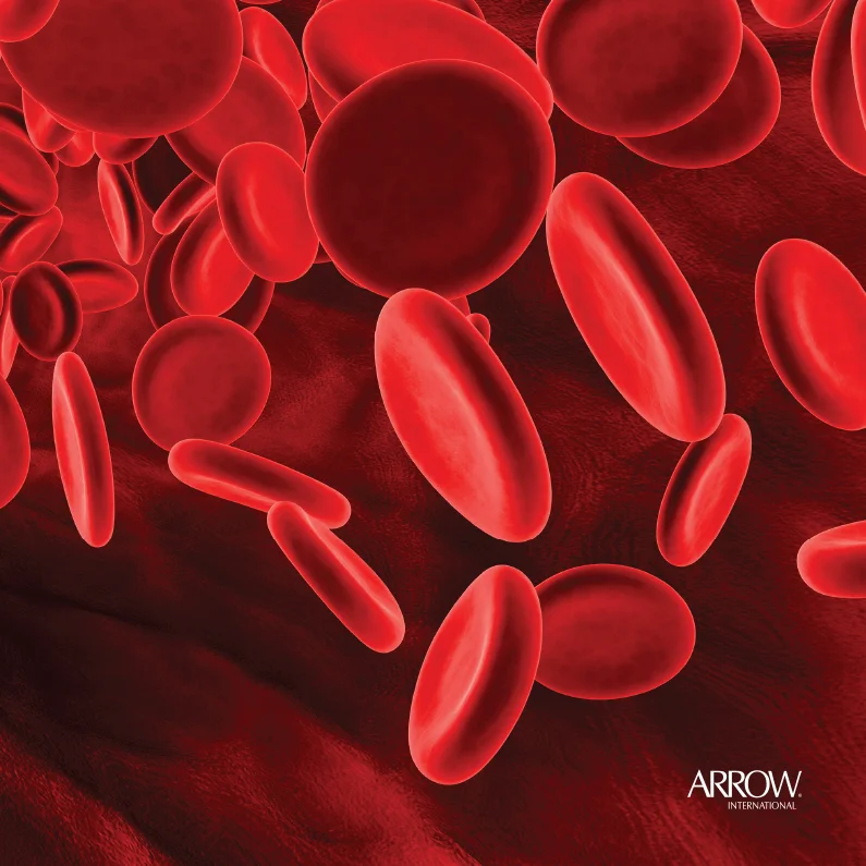 Arrow LOGO SQUARE.jpg