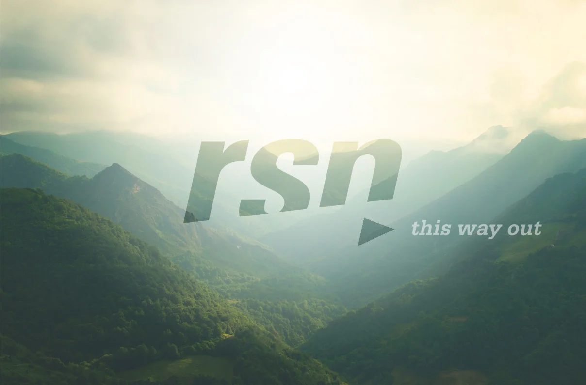 RSN LOGO PanelA.jpg