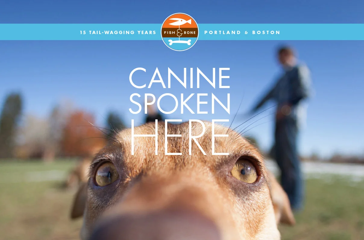 Fish+Bone LOGO Panel A.jpg