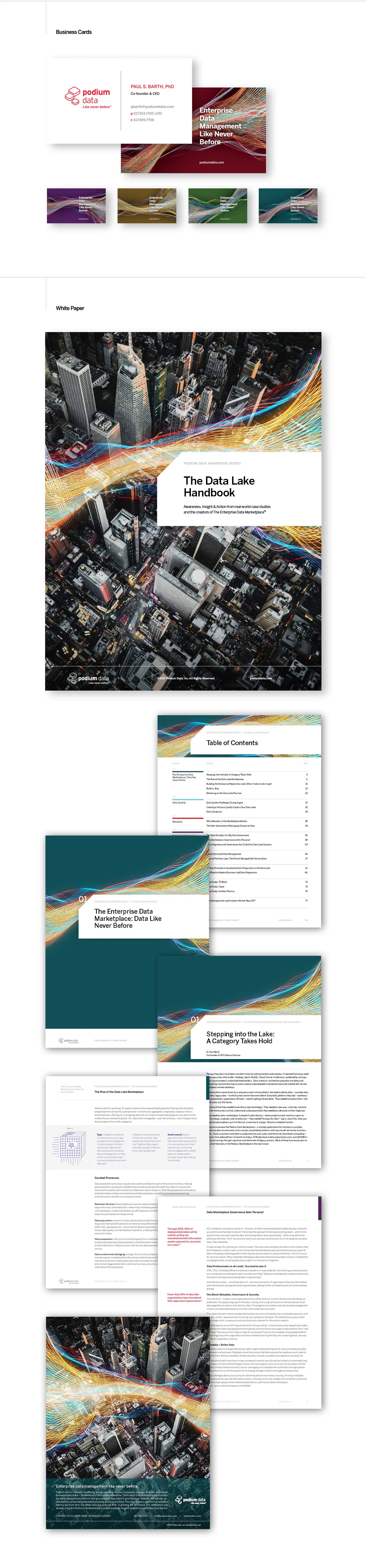 PODIUM LOGO Panel C.jpg