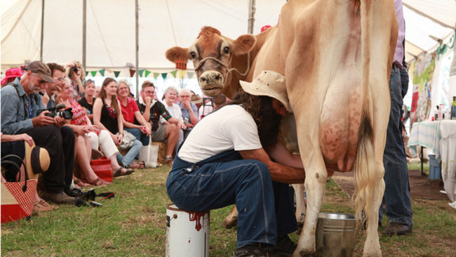 Image credit: Felton Food Festival