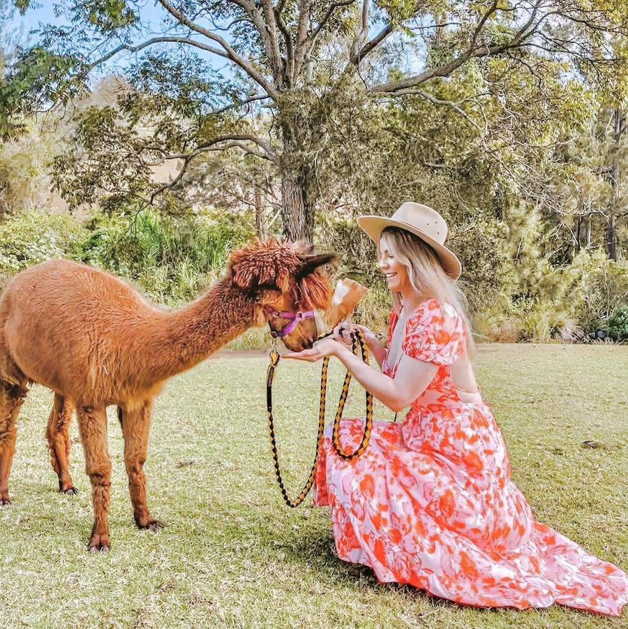 Mountview Alpaca Farm