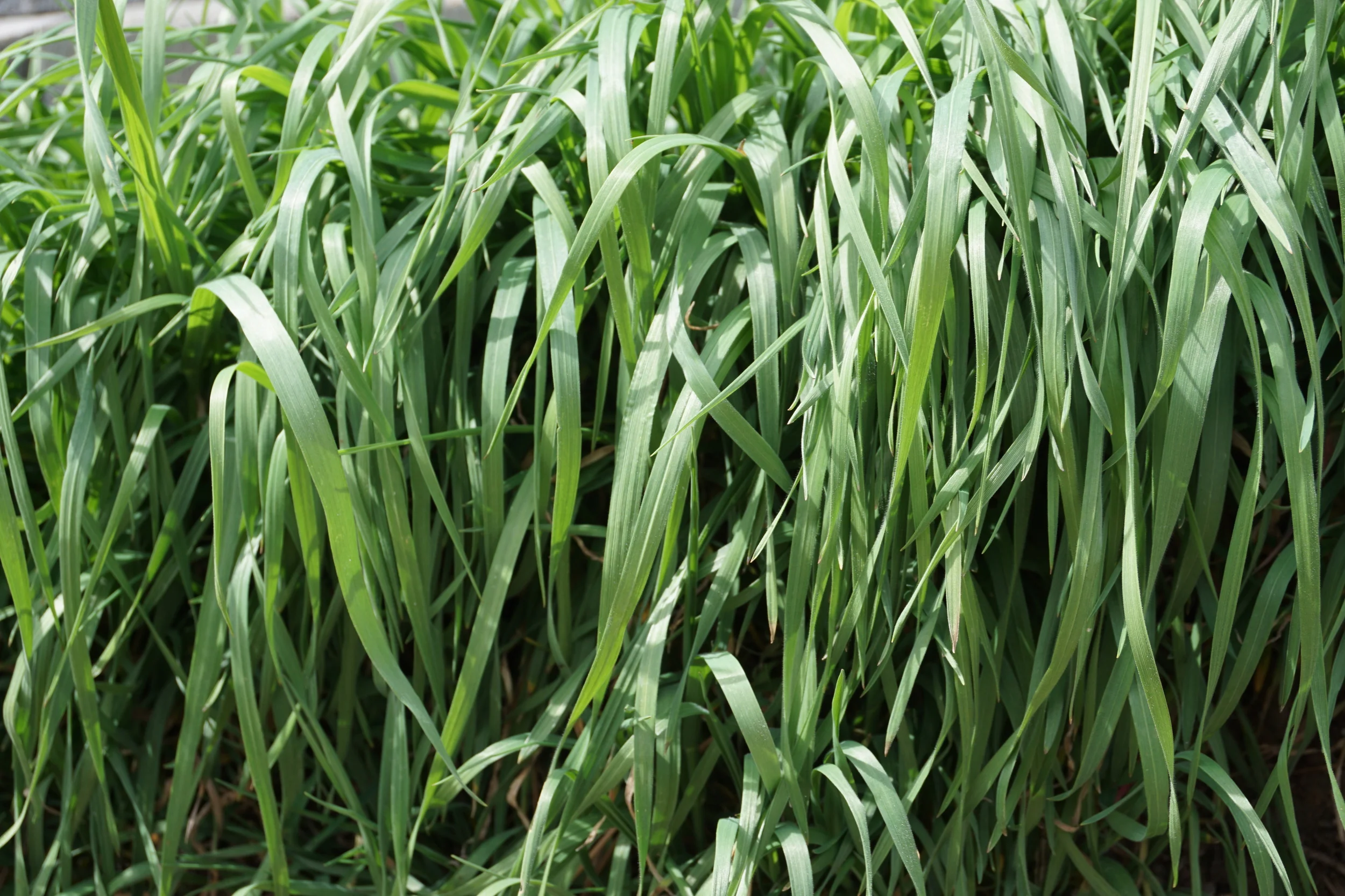 5 Powerful ways to Happy :)