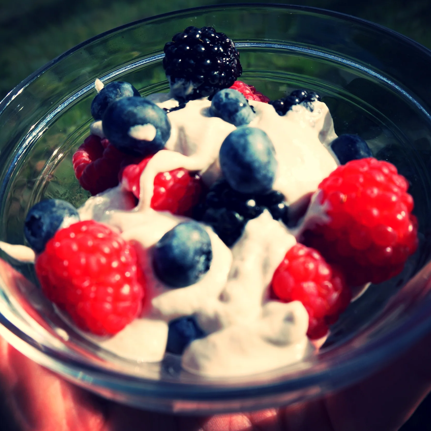 Berries & Cream (Vegan + GF)