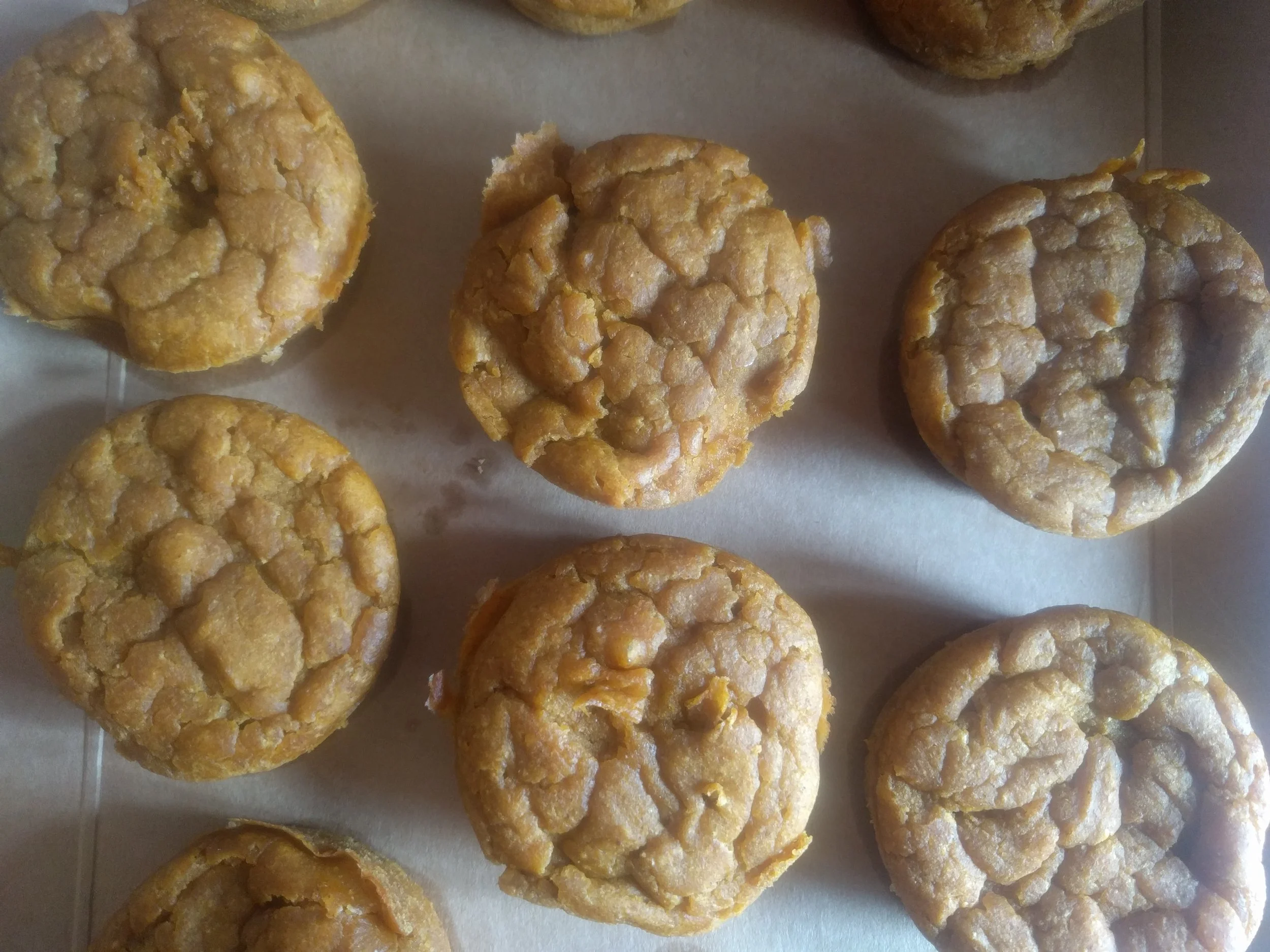 Pumpkin Power Muffins