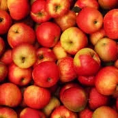 Homemade Apple Cider